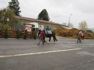 img-2376.JPG