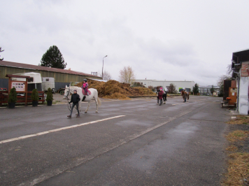 img-2390.JPG
