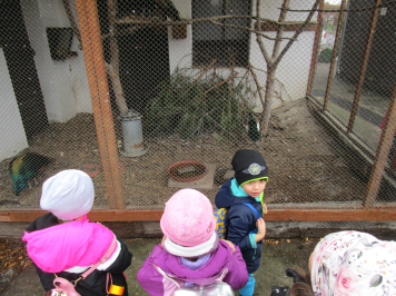 img-2394.JPG