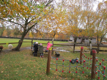 img-2407.JPG