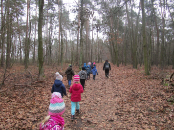 img-1421.JPG