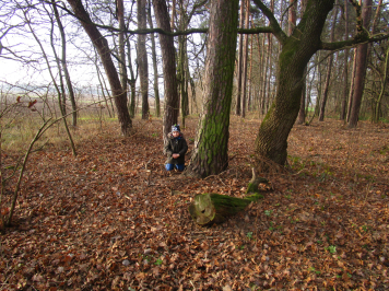 img-1433.JPG
