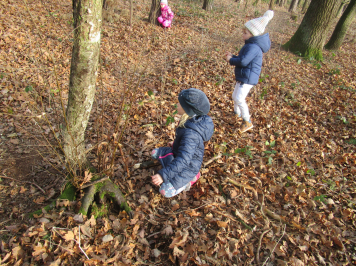 img-1436.JPG