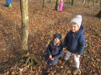 img-1437.JPG