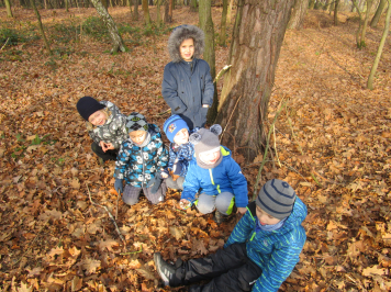 img-1444.JPG