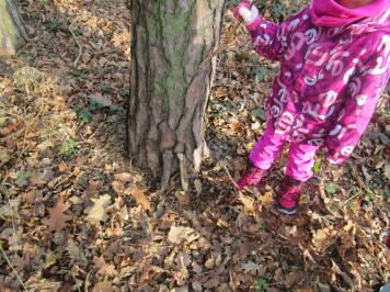 img-1445.JPG