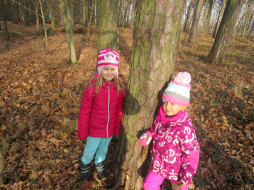 img-1446.JPG