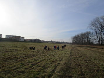 img-1447.JPG