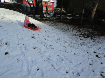 img-0024.JPG