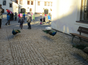 13827.jpg