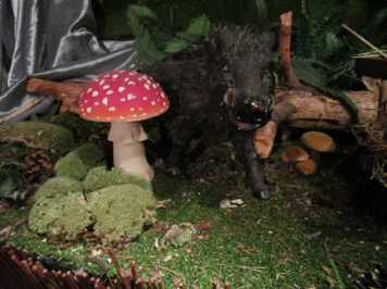 img-0875.JPG