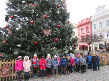 img-8517.JPG