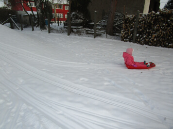 img-0008.JPG
