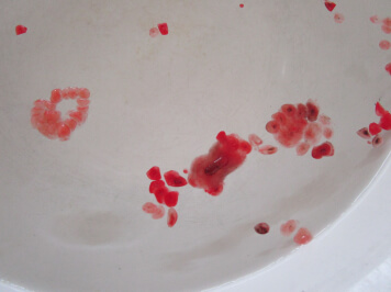 img-2067.JPG
