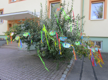 img-7137.JPG