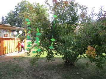 img-7140.JPG