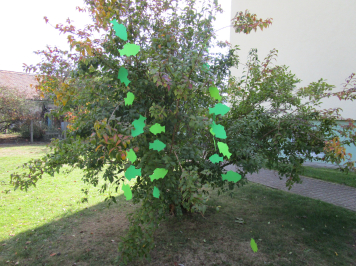 img-7141.JPG