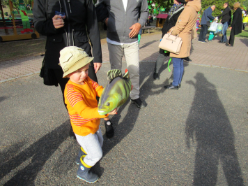 img-7284.JPG