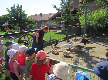 img-1185.JPG