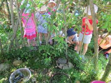 img-1191.JPG