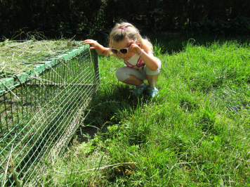 img-1196.JPG