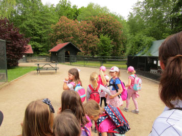 img-2070.JPG