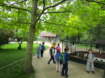 img-2078.JPG