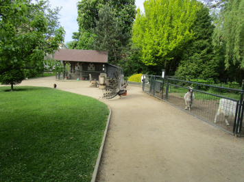 img-2079.JPG