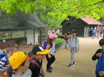 img-2080.JPG