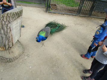 img-2087.JPG