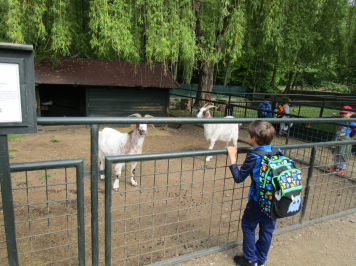 img-2095.JPG