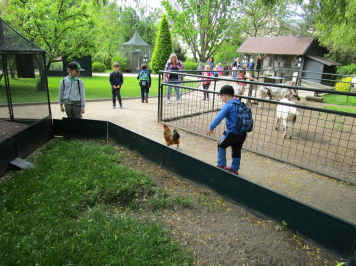 img-2100.JPG