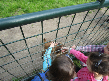 img-2109.JPG