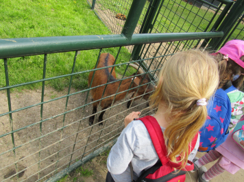 img-2110.JPG