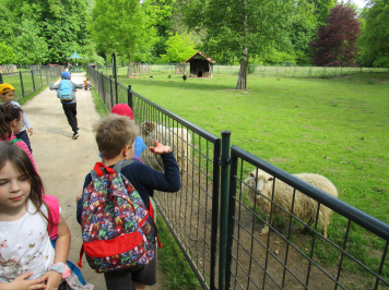 img-2113.JPG