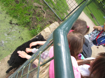 img-2114.JPG