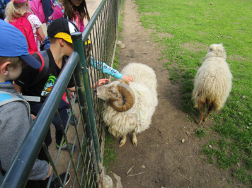 img-2115.JPG