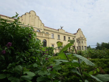 img-6621.JPG