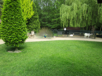 img-6626.JPG