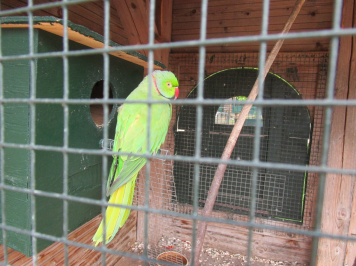 img-6628.JPG