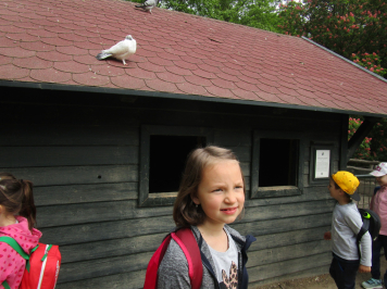 img-6633.JPG