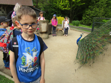 img-6639.JPG