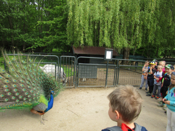 img-6640.JPG
