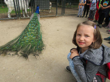 img-6641.JPG