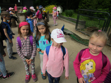 img-6642.JPG
