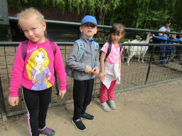 img-6646.JPG