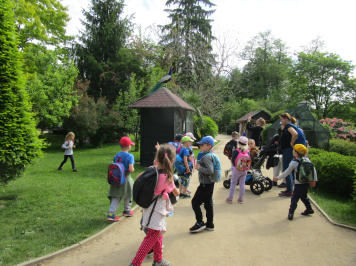 img-6650.JPG