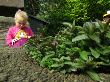 img-6657.JPG