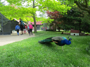 img-6659.JPG