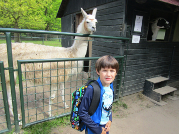 img-6663.JPG